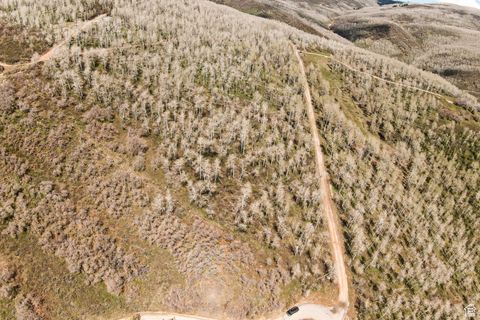 Tiny photo for 199 MOUNTAINVIEW #199, Oakley, UT 84055 (MLS # 2083643)
