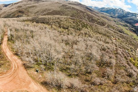 Tiny photo for 199 MOUNTAINVIEW #199, Oakley, UT 84055 (MLS # 2083643)