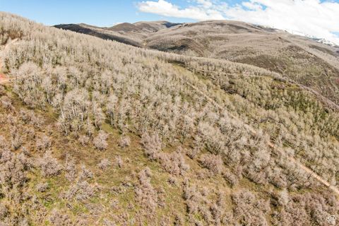 Tiny photo for 199 MOUNTAINVIEW #199, Oakley, UT 84055 (MLS # 2083643)