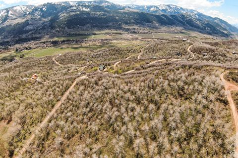 Tiny photo for 199 MOUNTAINVIEW #199, Oakley, UT 84055 (MLS # 2083643)