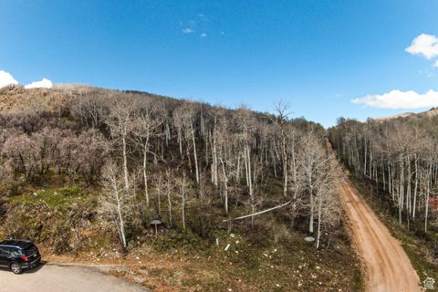 Photo of 199 MOUNTAINVIEW #199, Oakley, UT 84055 (MLS # 2083643)