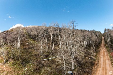 Tiny photo for 199 MOUNTAINVIEW #199, Oakley, UT 84055 (MLS # 2083643)