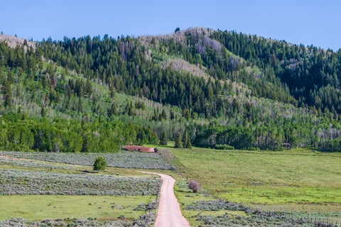 Tiny photo for 0 WEBER WILD RD #MV-29, Oakley, UT 84055 (MLS # 2166321)