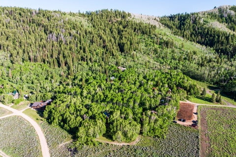 Tiny photo for 0 WEBER WILD RD #MV-29, Oakley, UT 84055 (MLS # 2166321)