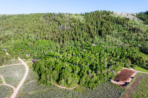 Tiny photo for 0 WEBER WILD RD #MV-29, Oakley, UT 84055 (MLS # 2166321)