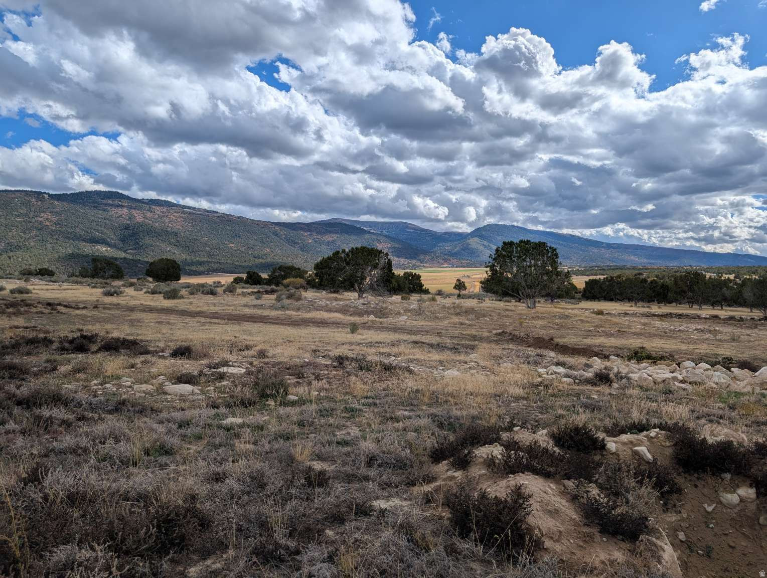 HOMESTEAD MOUNTAIN ESTATES - Land