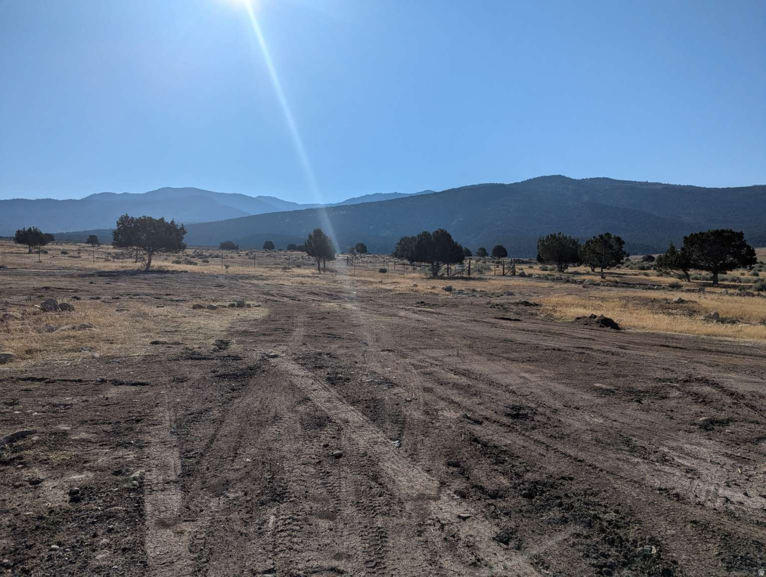 HOMESTEAD MOUNTAIN ESTATES - Land