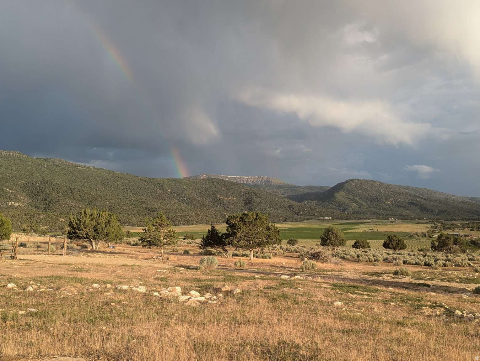 HOMESTEAD MOUNTAIN ESTATES - Land