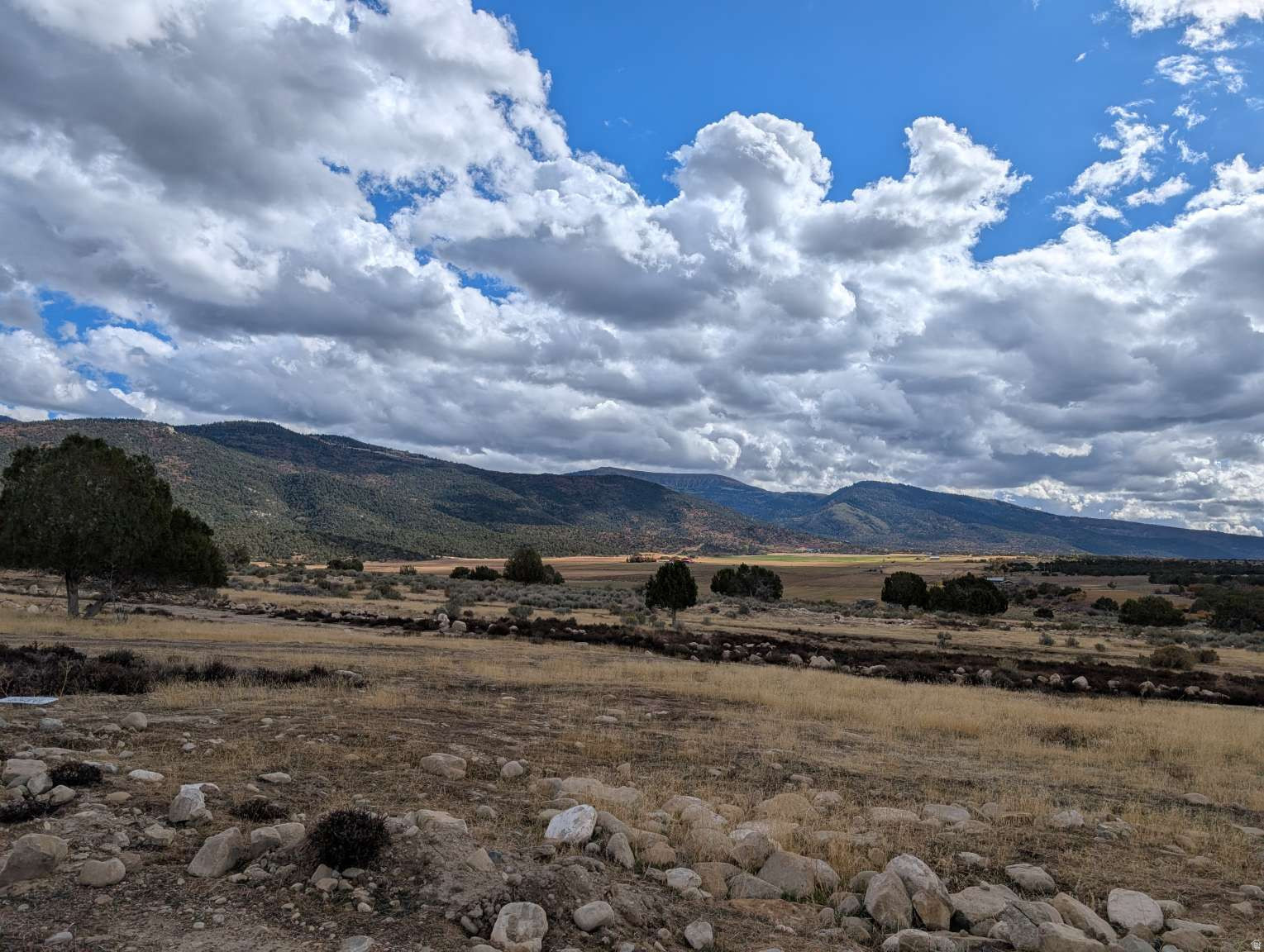 HOMESTEAD MOUNTAIN ESTATES - Land