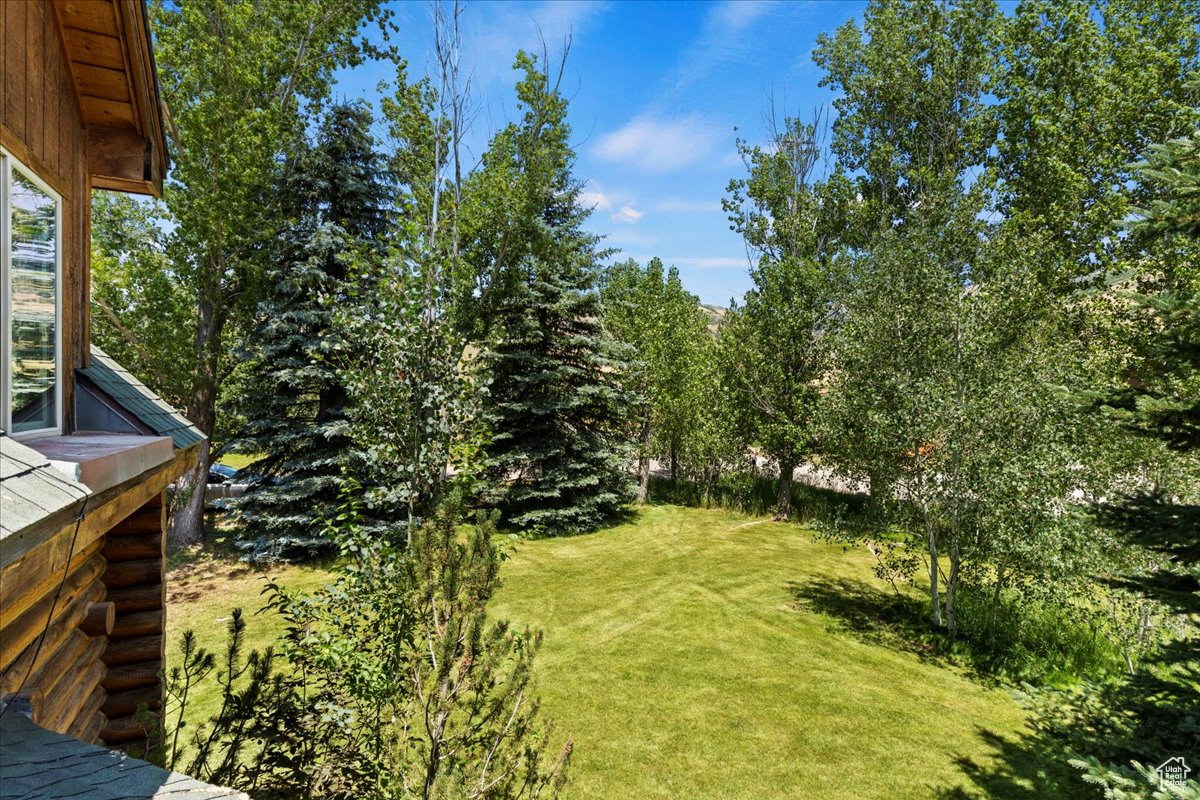 5375 N 3325, Eden, Utah image 28