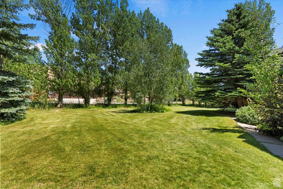 5375 N 3325, Eden, Utah image 31