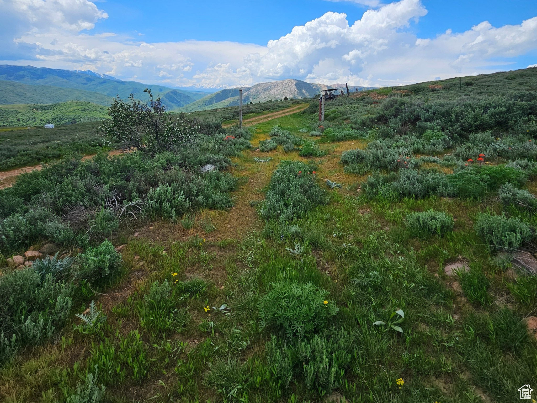 3388 N Oak Cyn #526, Huntsville, Utah image 6