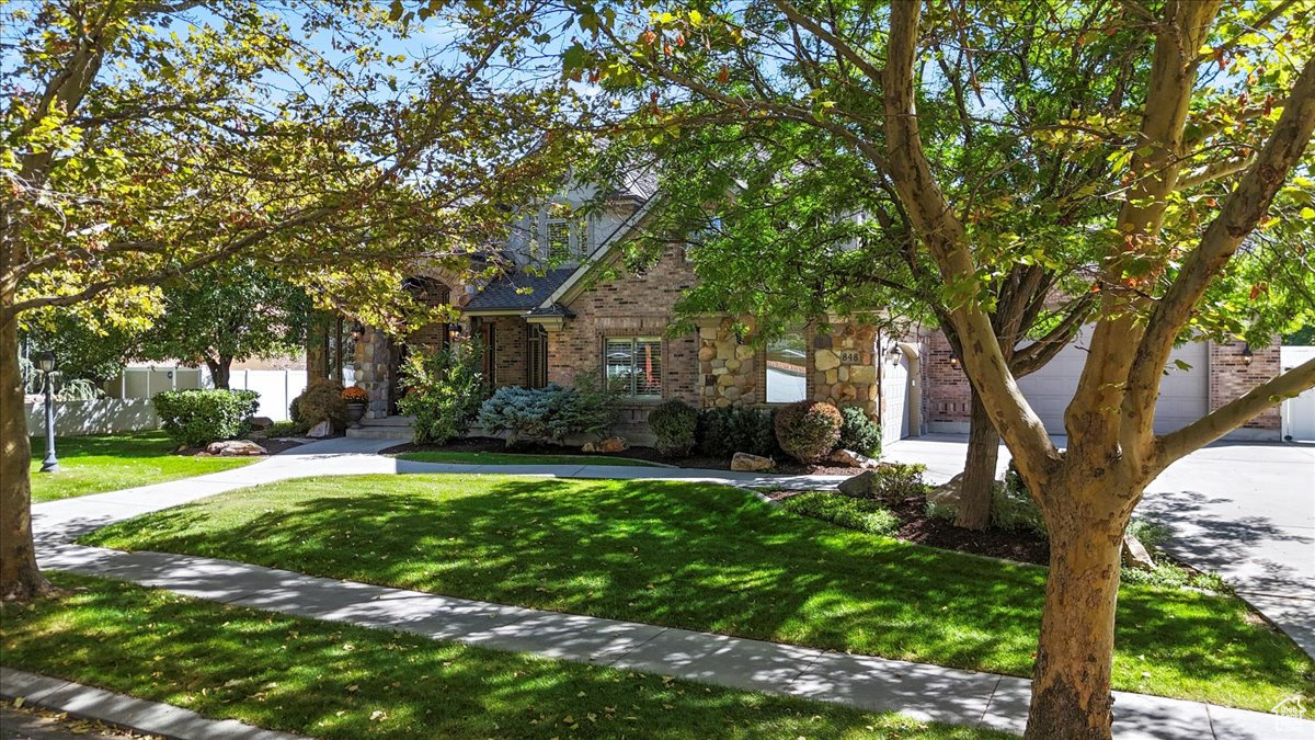 WILD ROSE - Residential