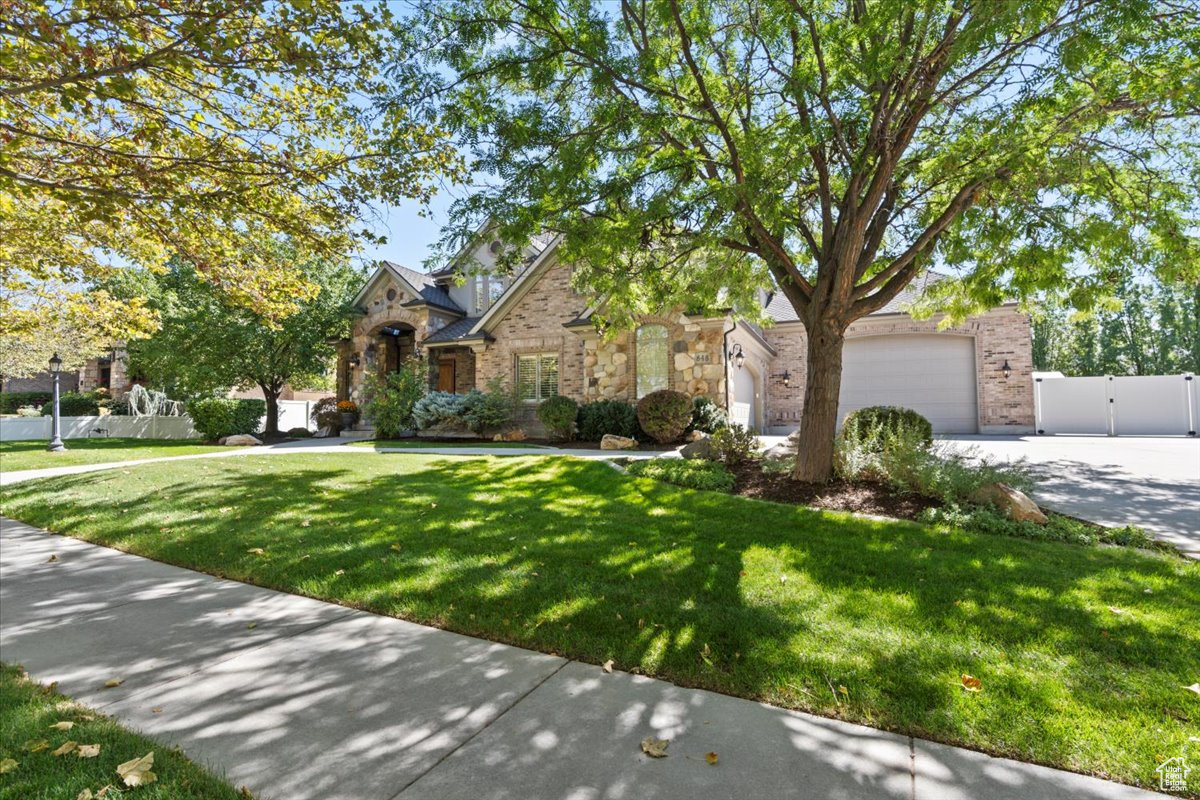WILD ROSE - Residential