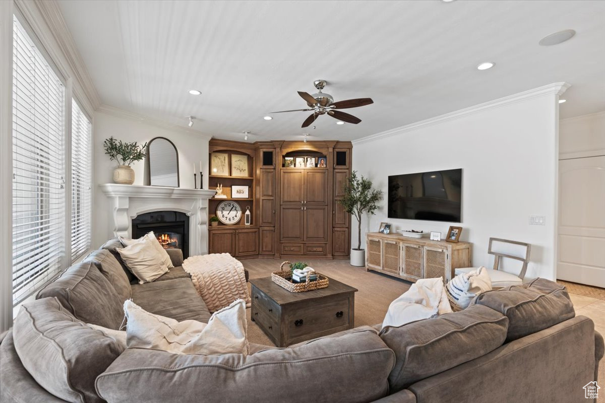 WILD ROSE - Residential