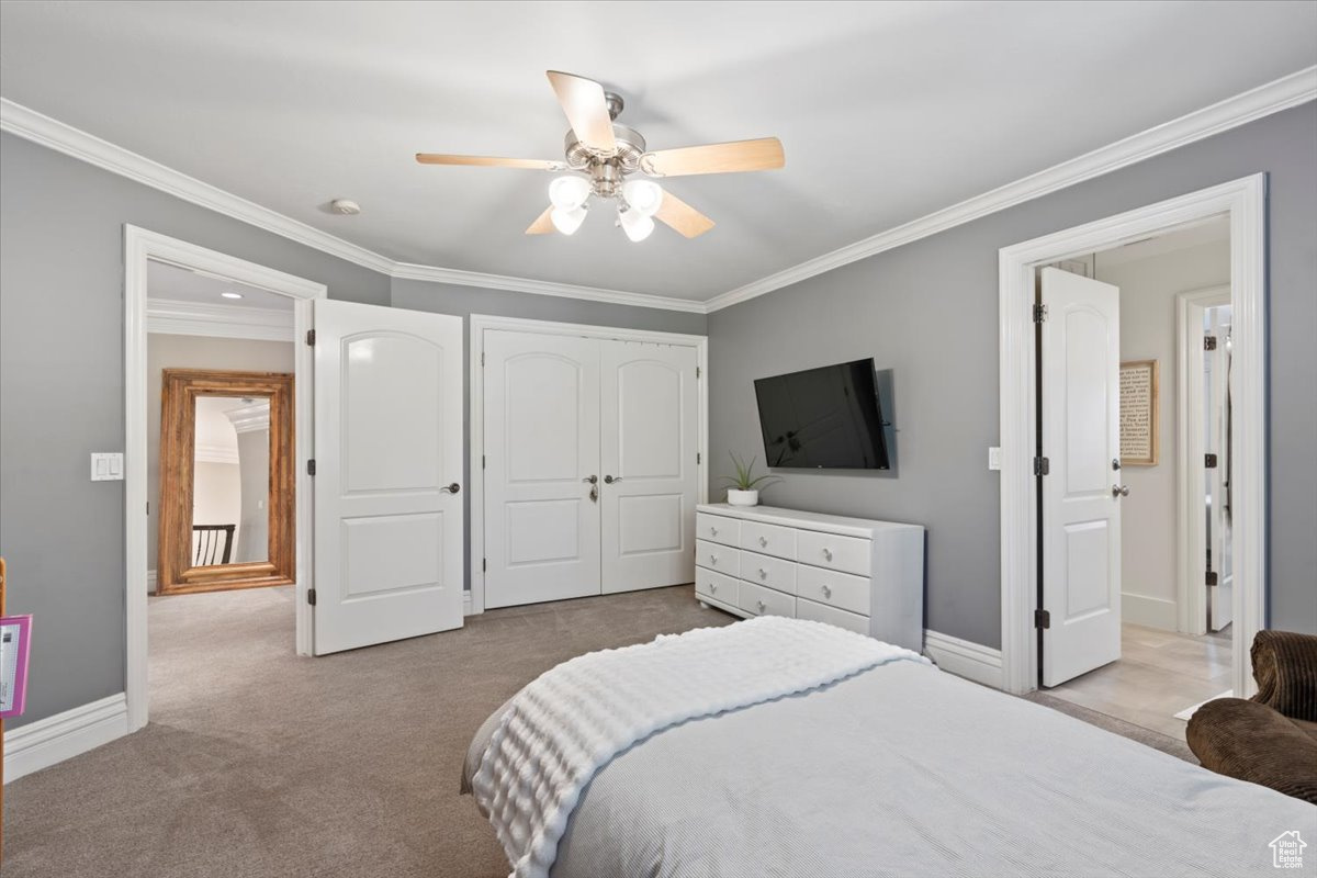 WILD ROSE - Residential