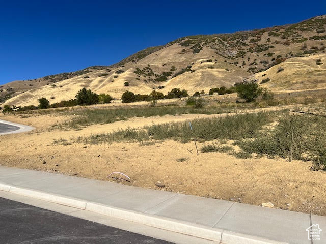 ROCK LOFT RIDGE ESTATES - Land