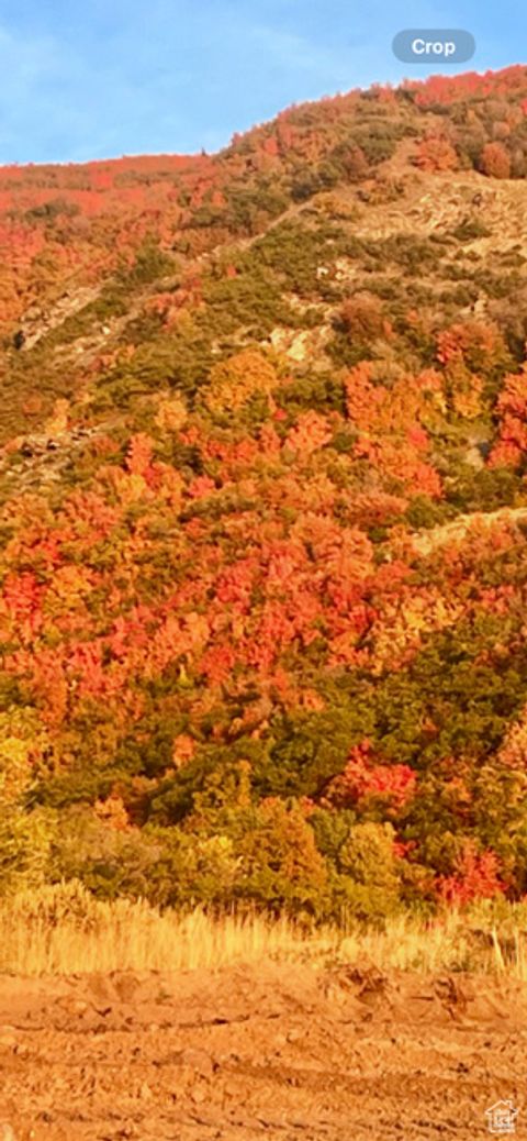 Tiny photo for 75 S GRANDISON CT E #69-R, Fruit Heights, UT 84037 (MLS # 2114022)