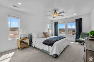 DESERT COLOR - Residential