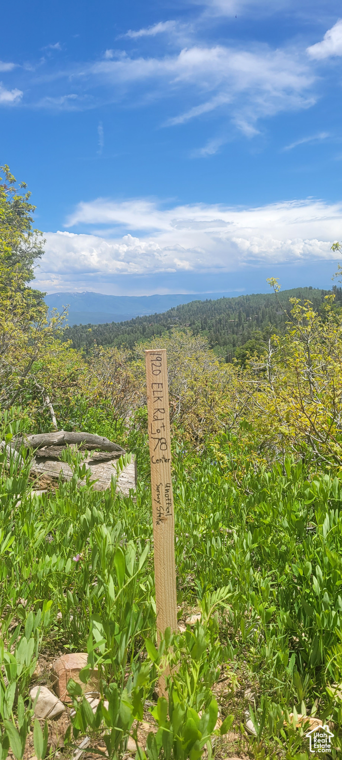 89 Highway, Sevier, Utah image 6