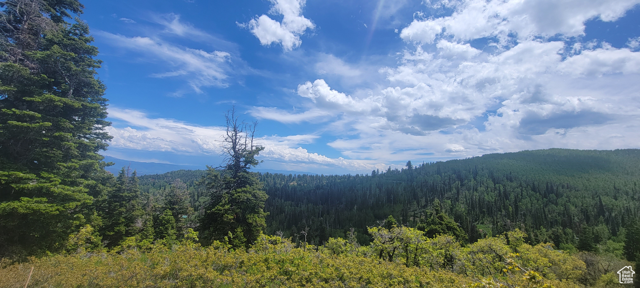 89 Highway, Sevier, Utah image 14