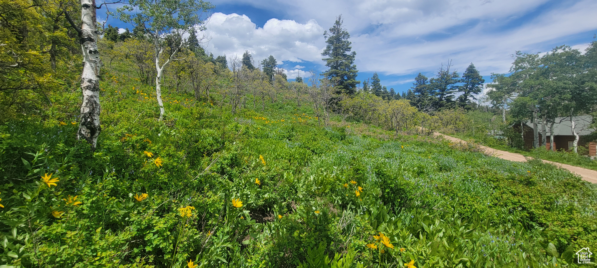 89 Highway, Sevier, Utah image 16