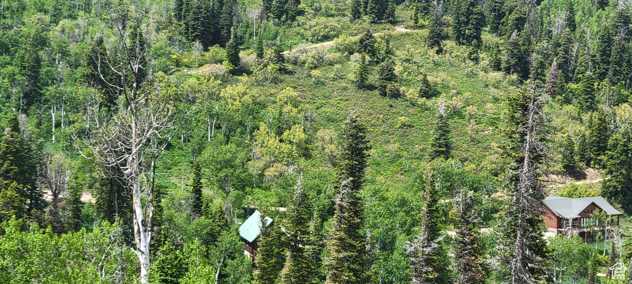 89 Highway, Sevier, Utah image 19