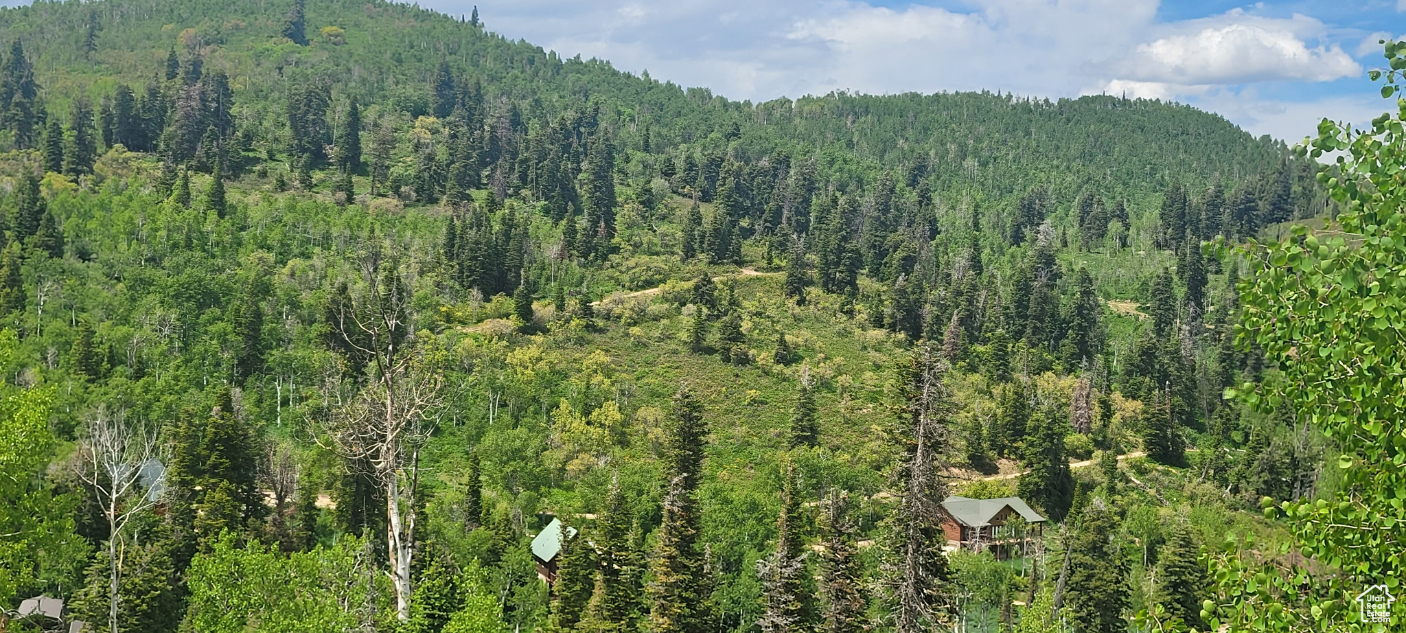 89 Highway, Sevier, Utah image 17