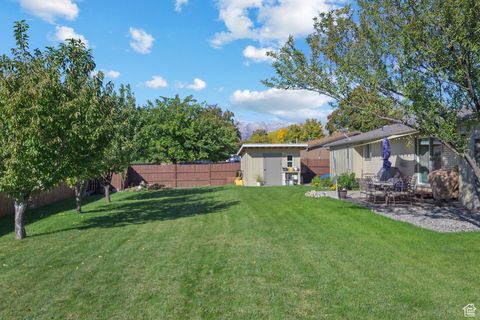 Tiny photo for 435 N 800 E, American Fork, UT 84003 (MLS # 2118621)