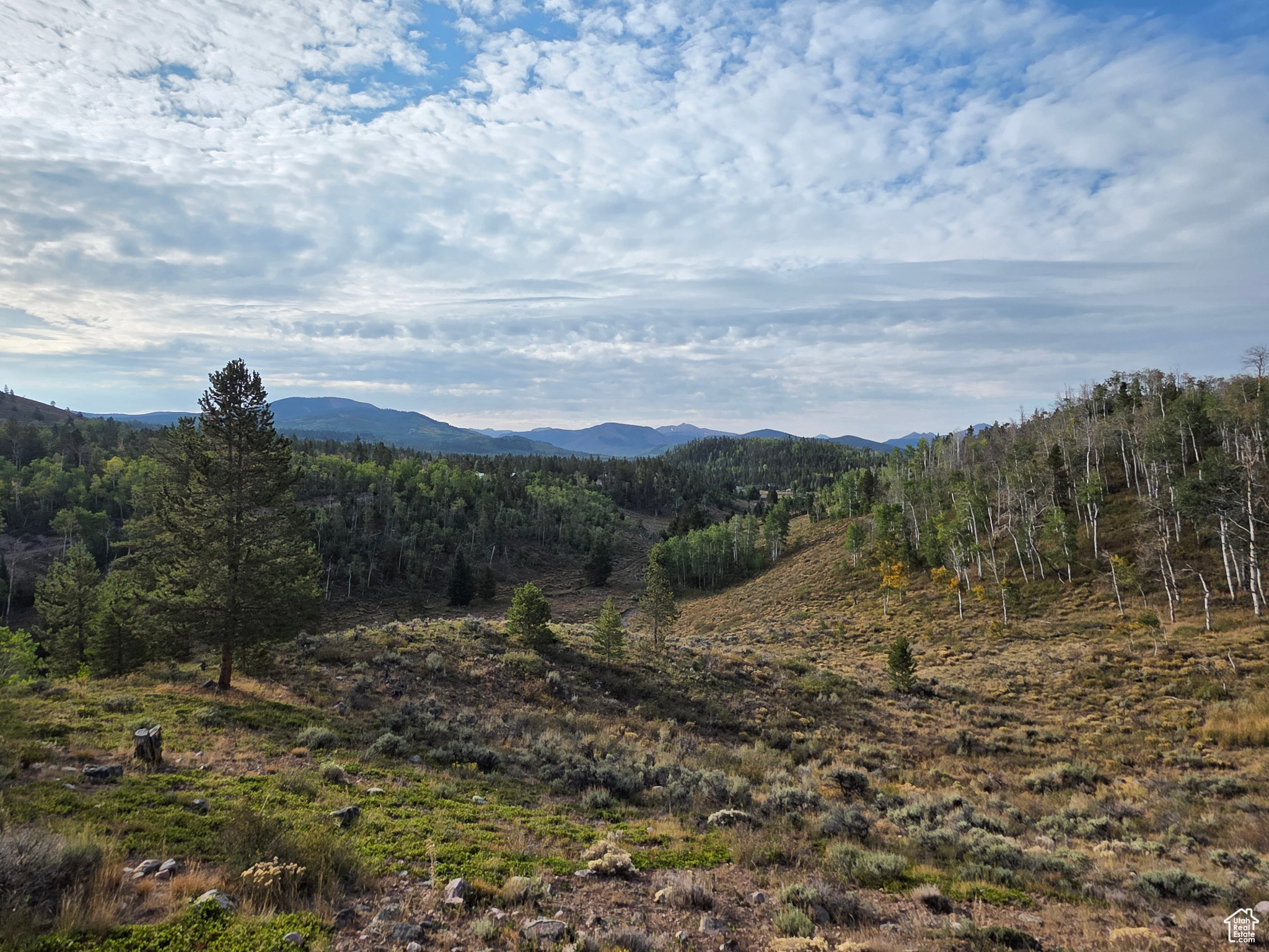 MANOR LANDS - Land