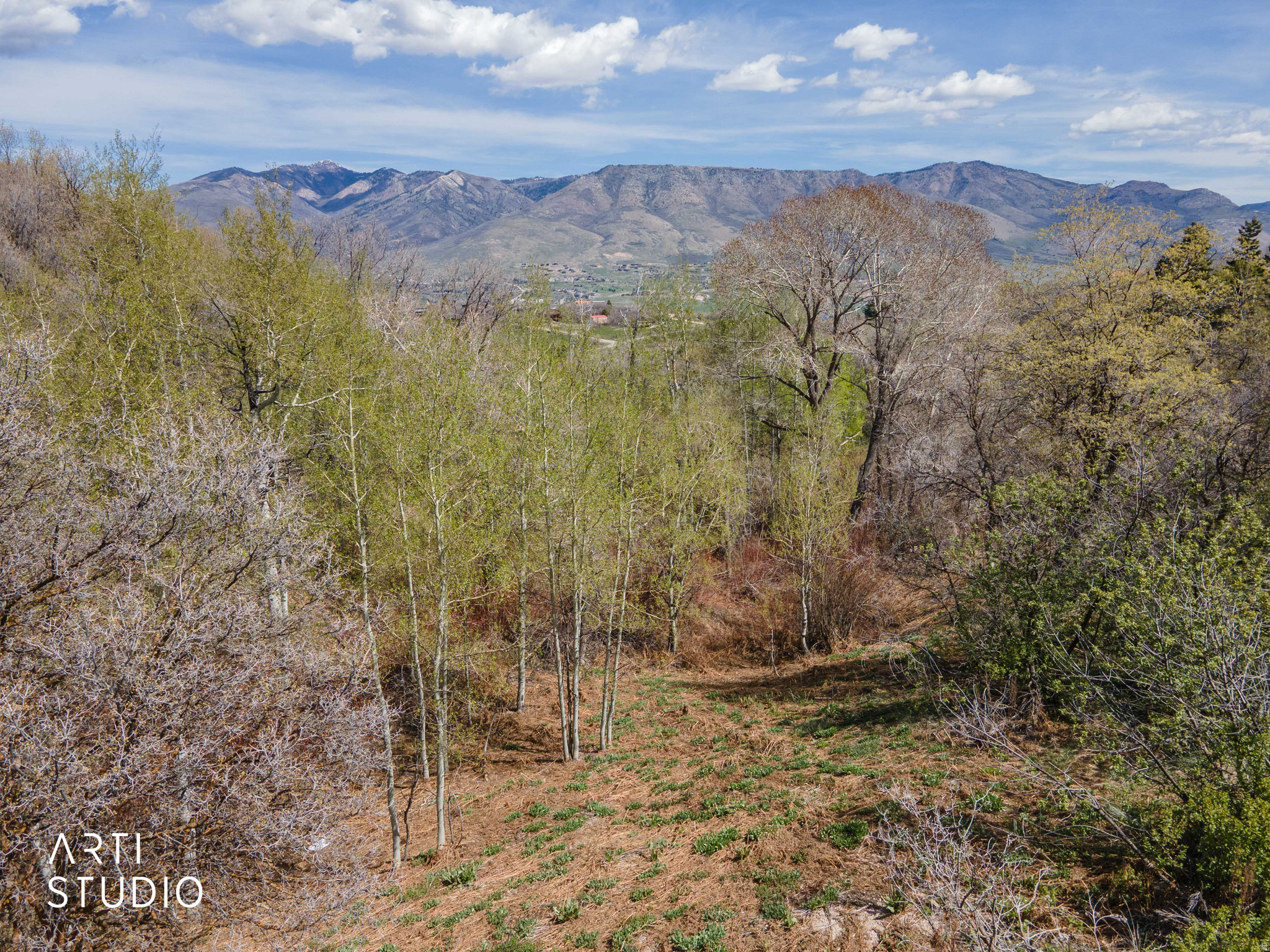 SILVER BELL ESTATES - Land