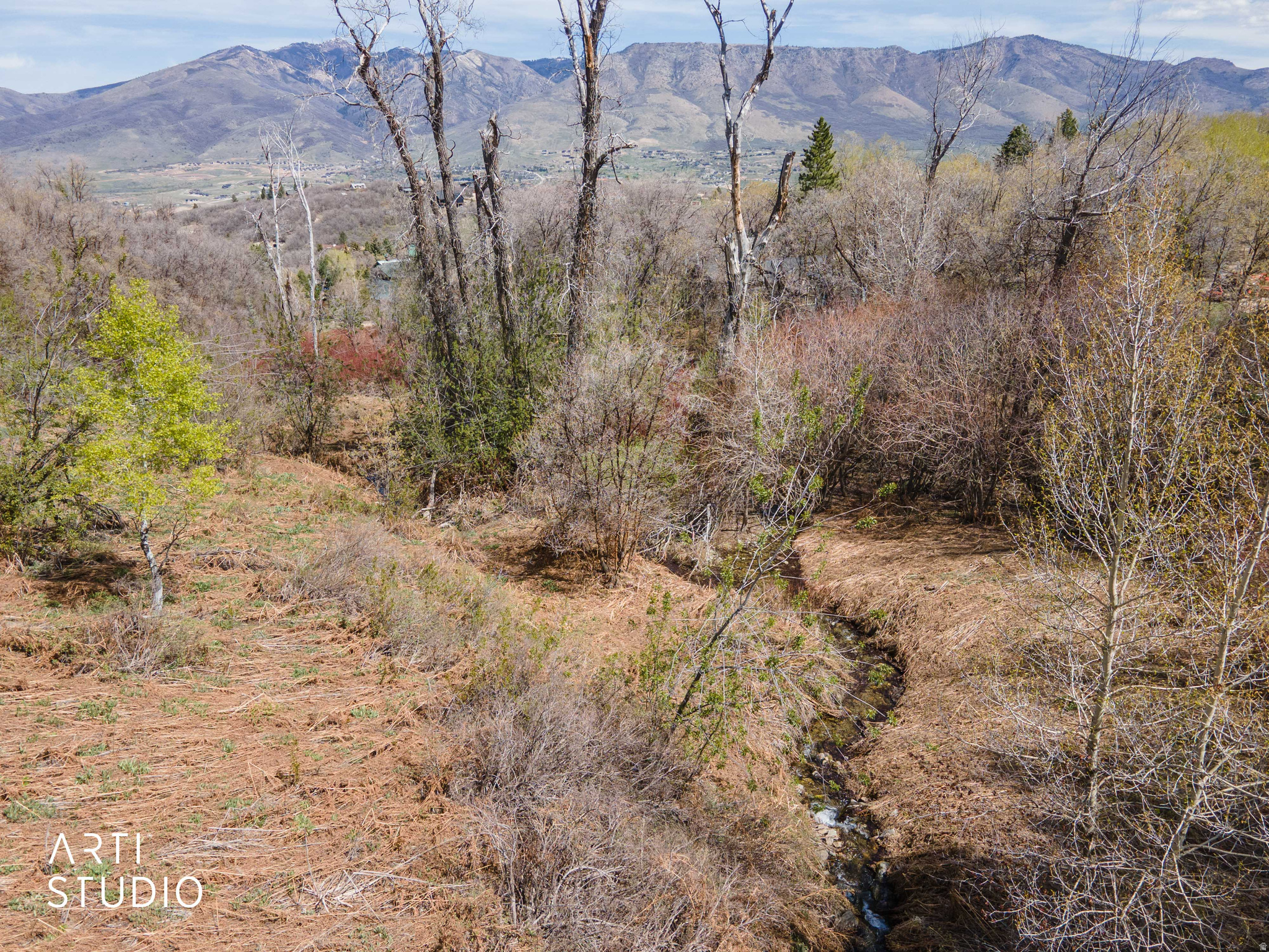 SILVER BELL ESTATES - Land