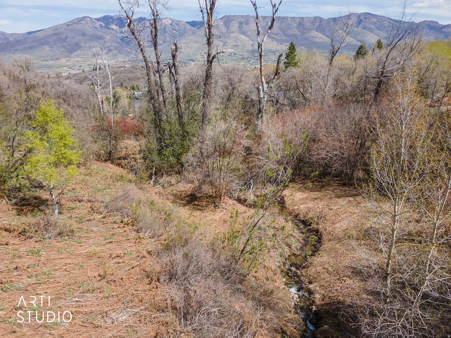 Discover the perfect blend of privacy, nature, and recreation with this secluded Eden lot nestled in the heart of Ogden Valley. This downward-sloping parcel offers a unique opportunity to design a custom home that captures breathtaking mountain and valley views. A seasonal stream meanders through the property, adding to the peaceful, natural setting. Bordering US Forest Service land, you'll enjoy unmatched privacy and direct access to endless outdoor adventure right from your backyard. Located adjacent to Nordic Valley Ski Resort, this property is a dream for outdoor enthusiasts-offering year-round recreation including skiing, hiking, and biking. Whether you're looking to build a full-time residence or a mountain getaway, this rare piece of land combines serenity, location, and lifestyle in one exceptional offering. Two parcels are being sold together for a total of 2.99 acres. Parcel 22-032-0038 & 22-029-0015. Buyer/Buyer's Agent to verify all. Outline of property is for illustration purposes only.