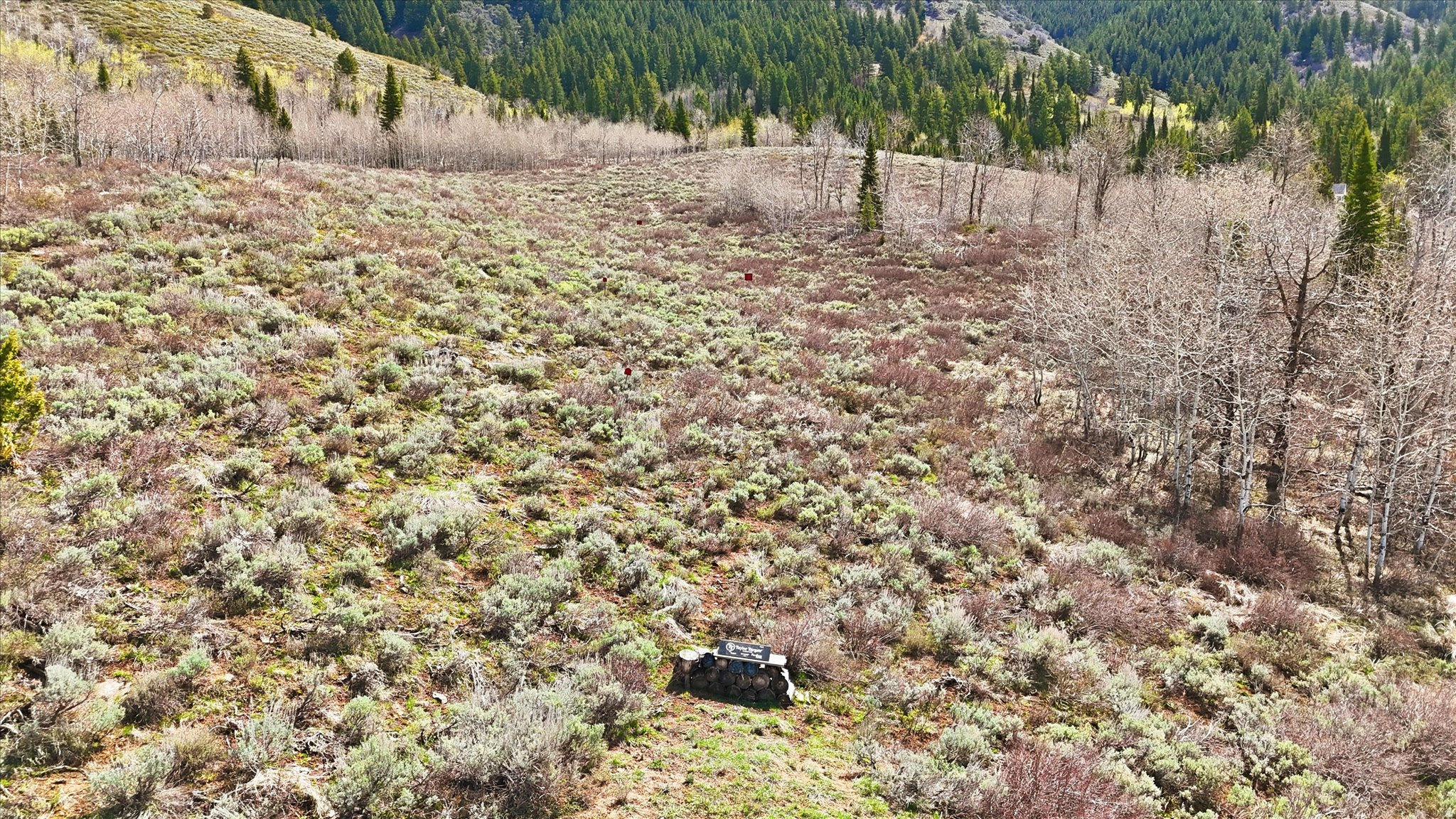 BEAVER CREEK - Residential