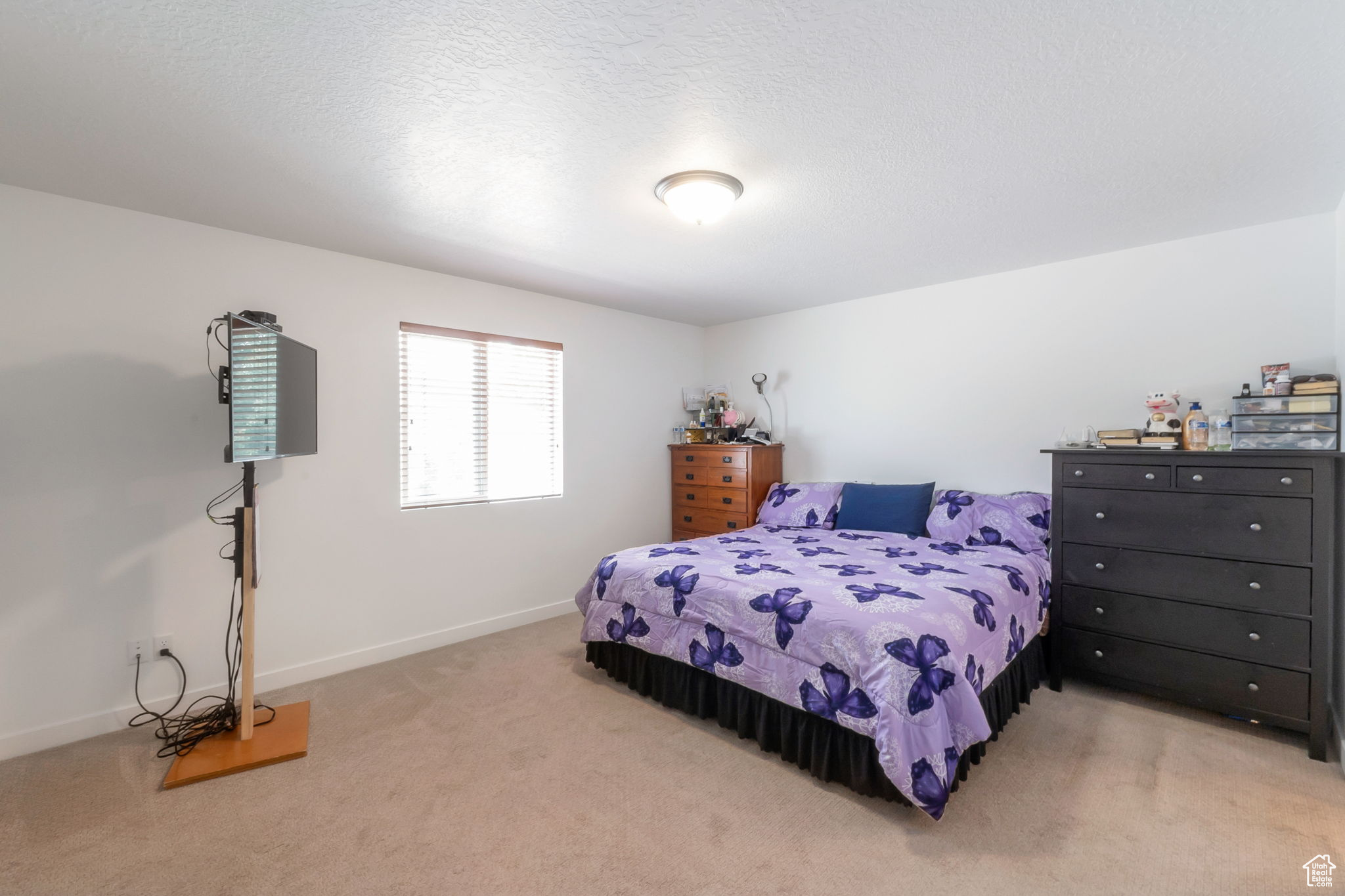 WASATCH VISTA SUBDIVISION - Residential