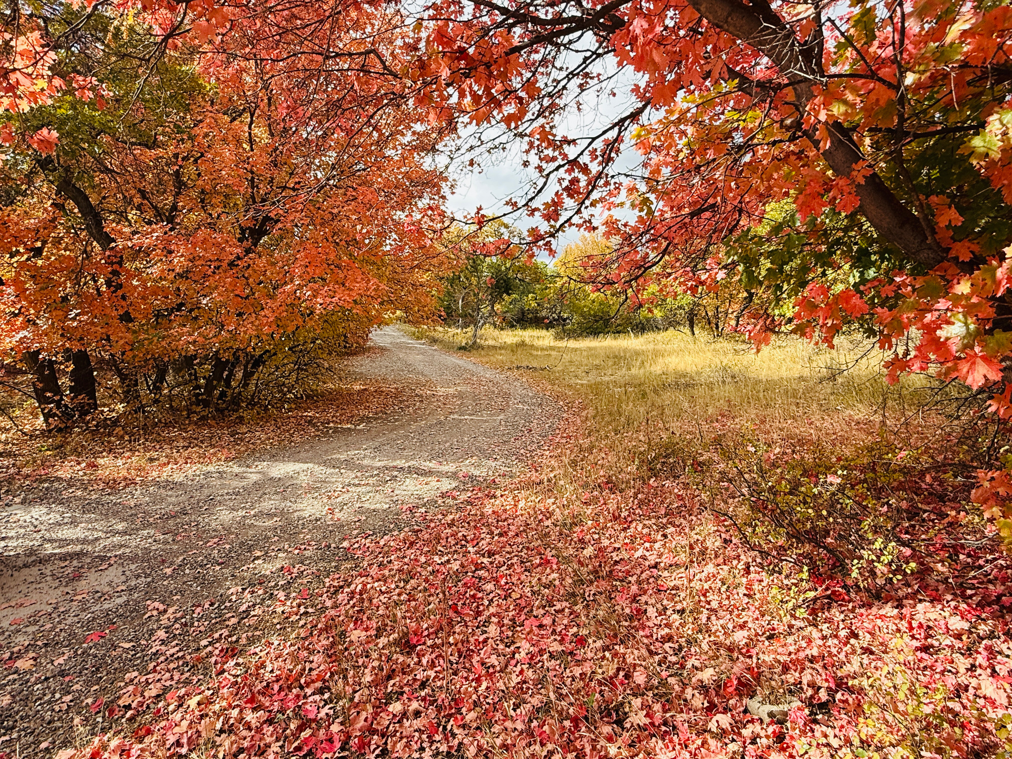 SKYLINE MOUNTAIN RESORT - Land