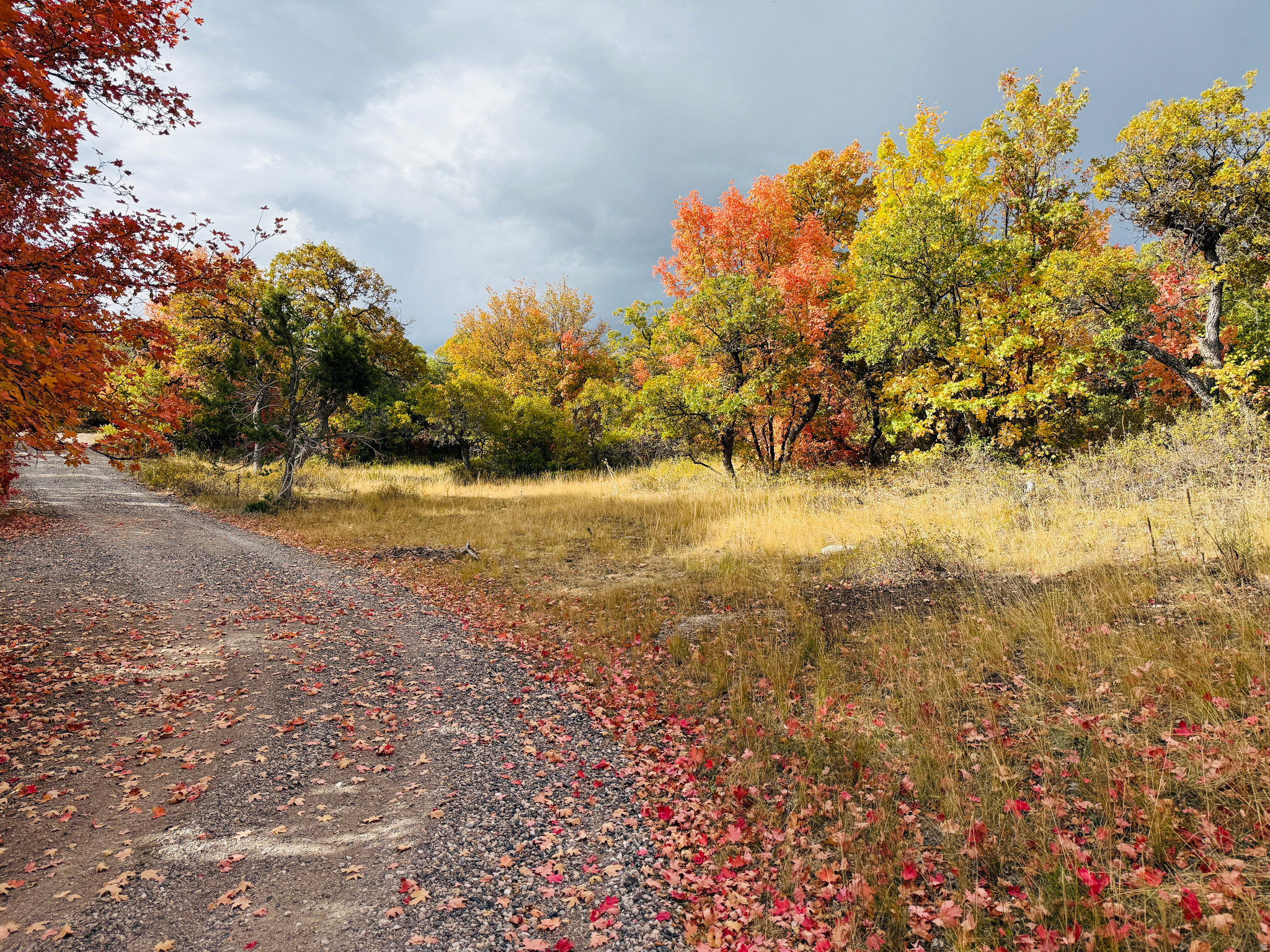 SKYLINE MOUNTAIN RESORT - Land