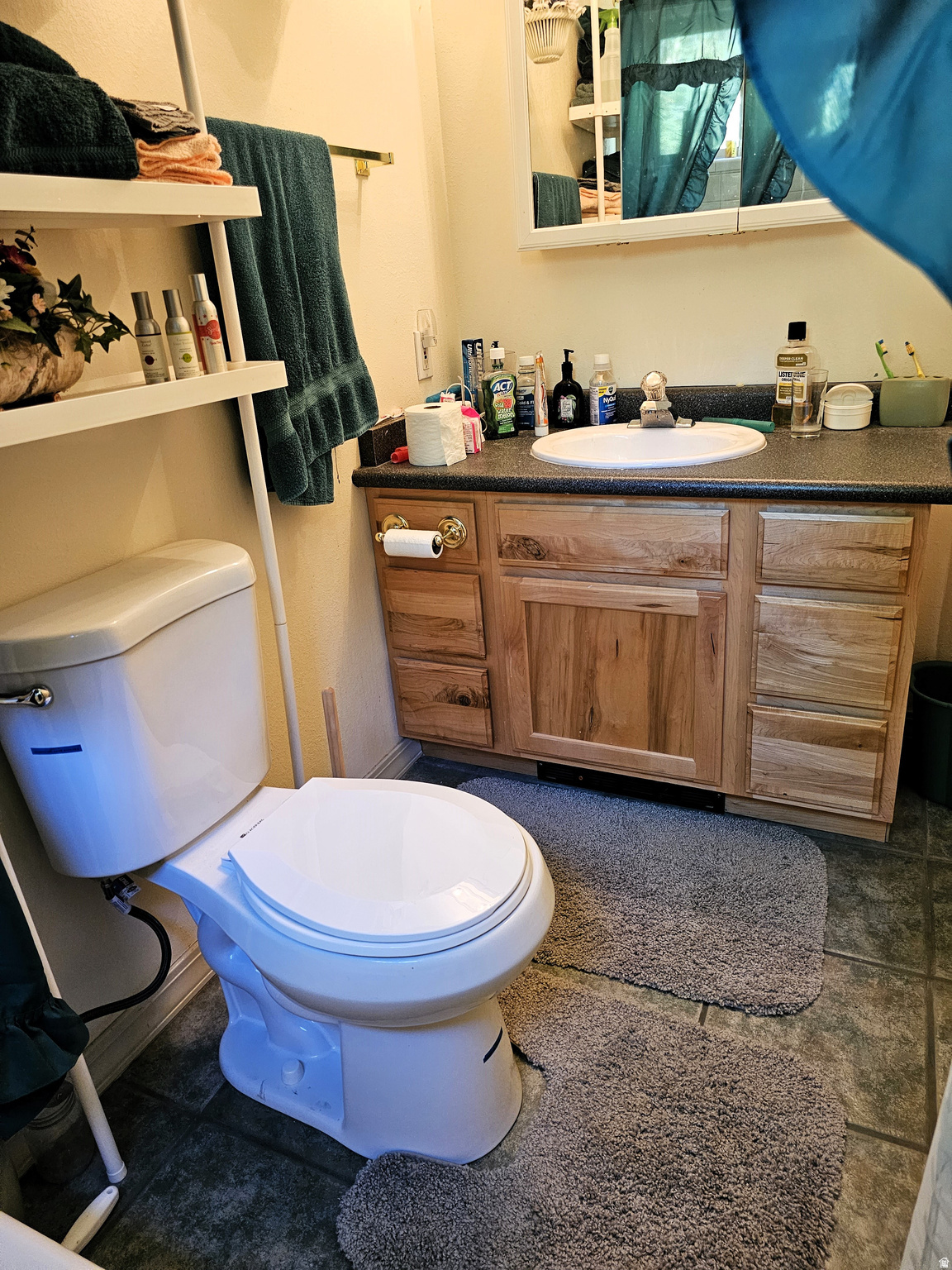 SKYLINE MOUNTAIN RESORT - Land