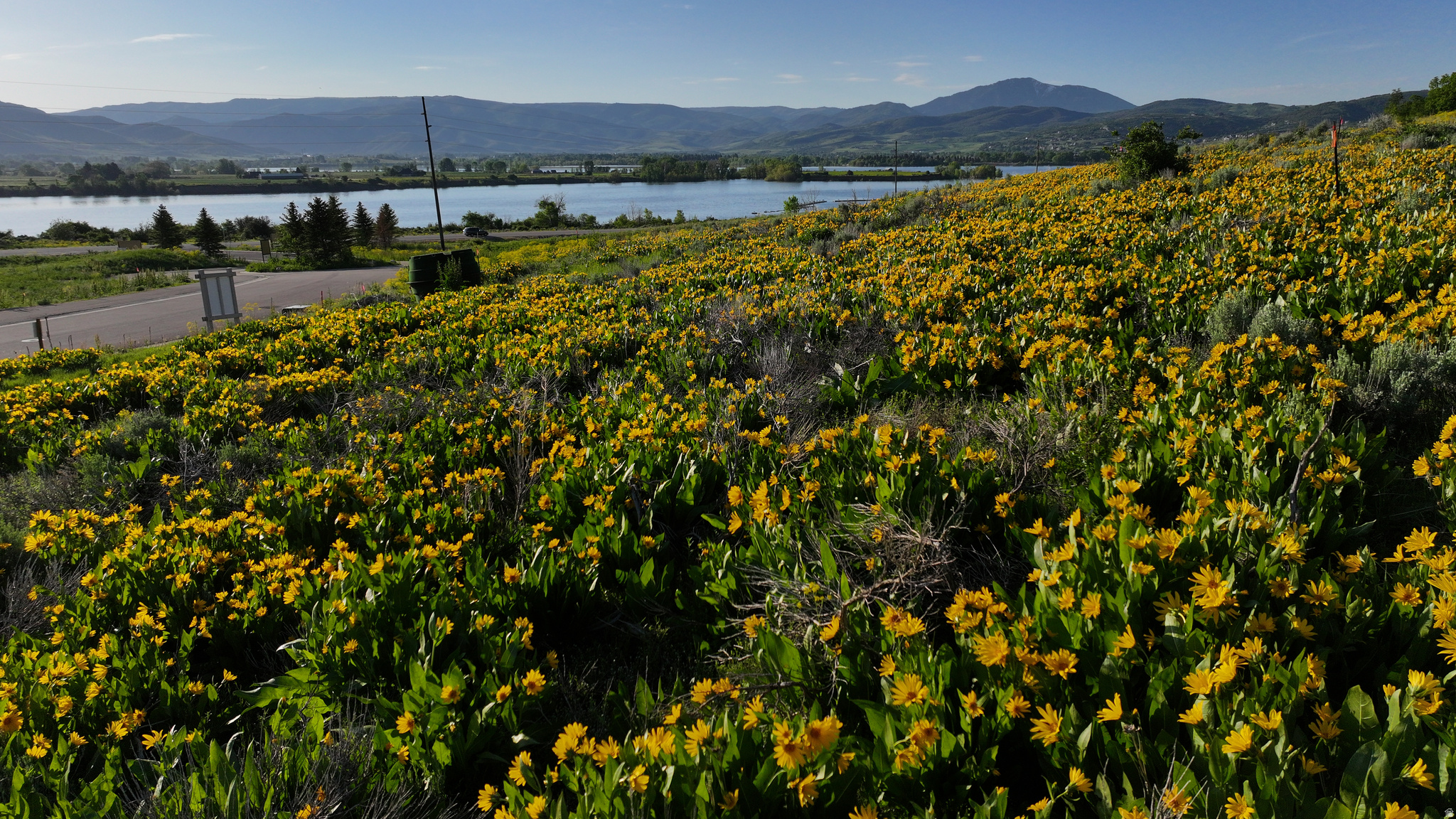 PINEVIEW OVERLOOK - Land