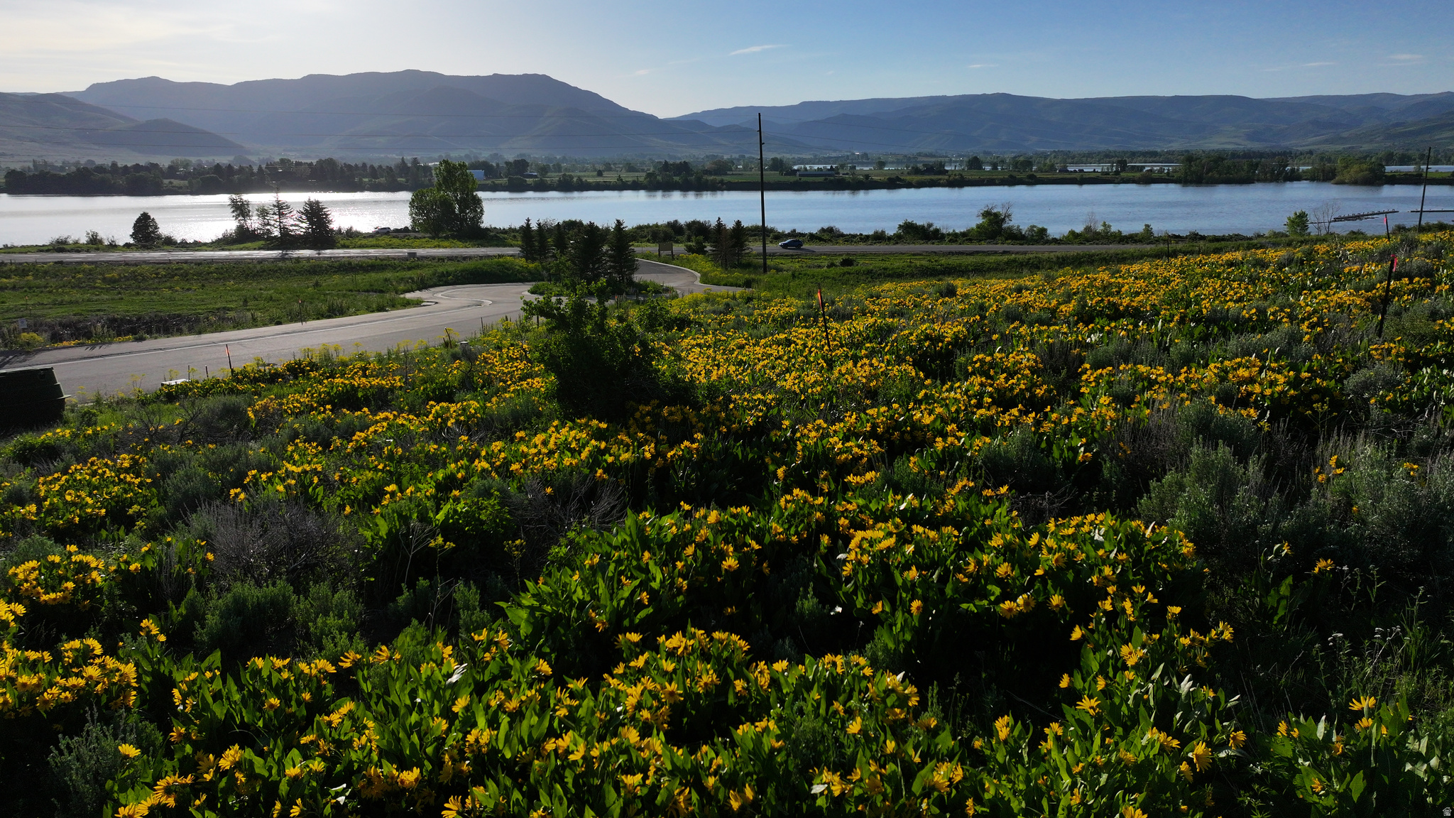 PINEVIEW OVERLOOK - Land