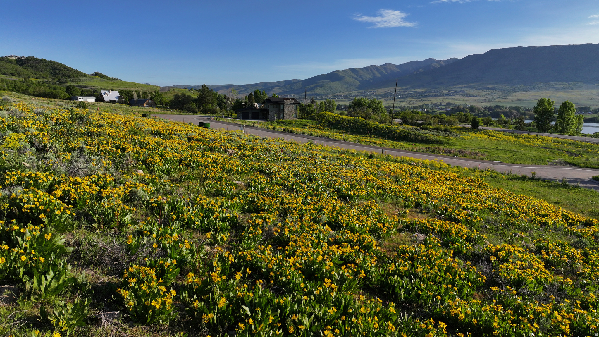 PINEVIEW OVERLOOK - Land