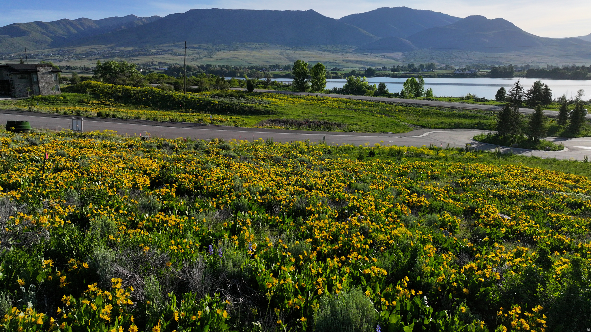 PINEVIEW OVERLOOK - Land