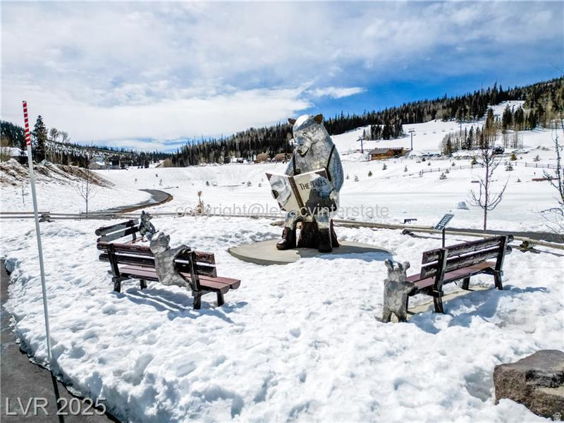 BRIAN HEAD NORTH/CEDAR BREAKS LODGE - Residential