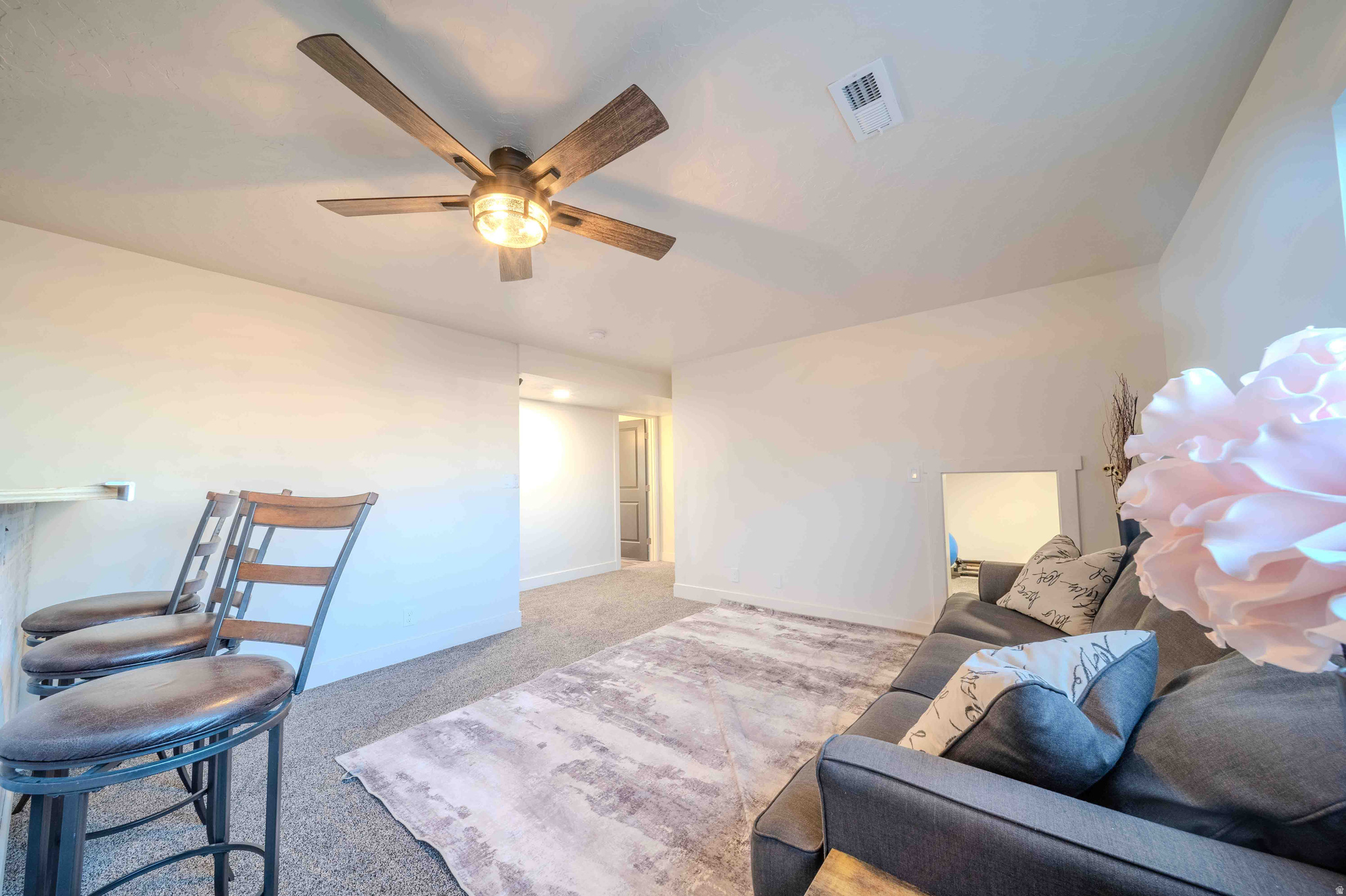 ALTAMONT TOWNSHIP B - Residential