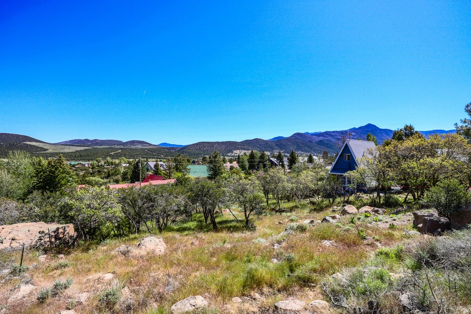 PINE VALLEY RANCHOS - Land