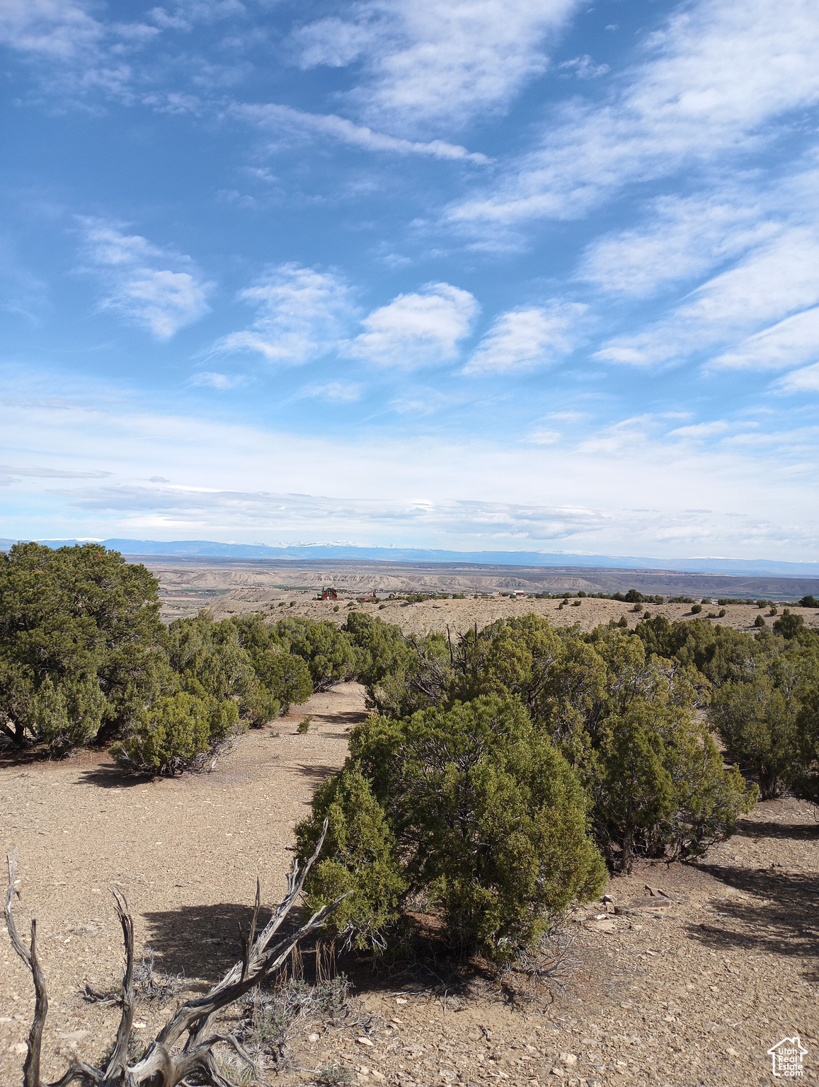 RANCHES AT CEDAR HOL - Land