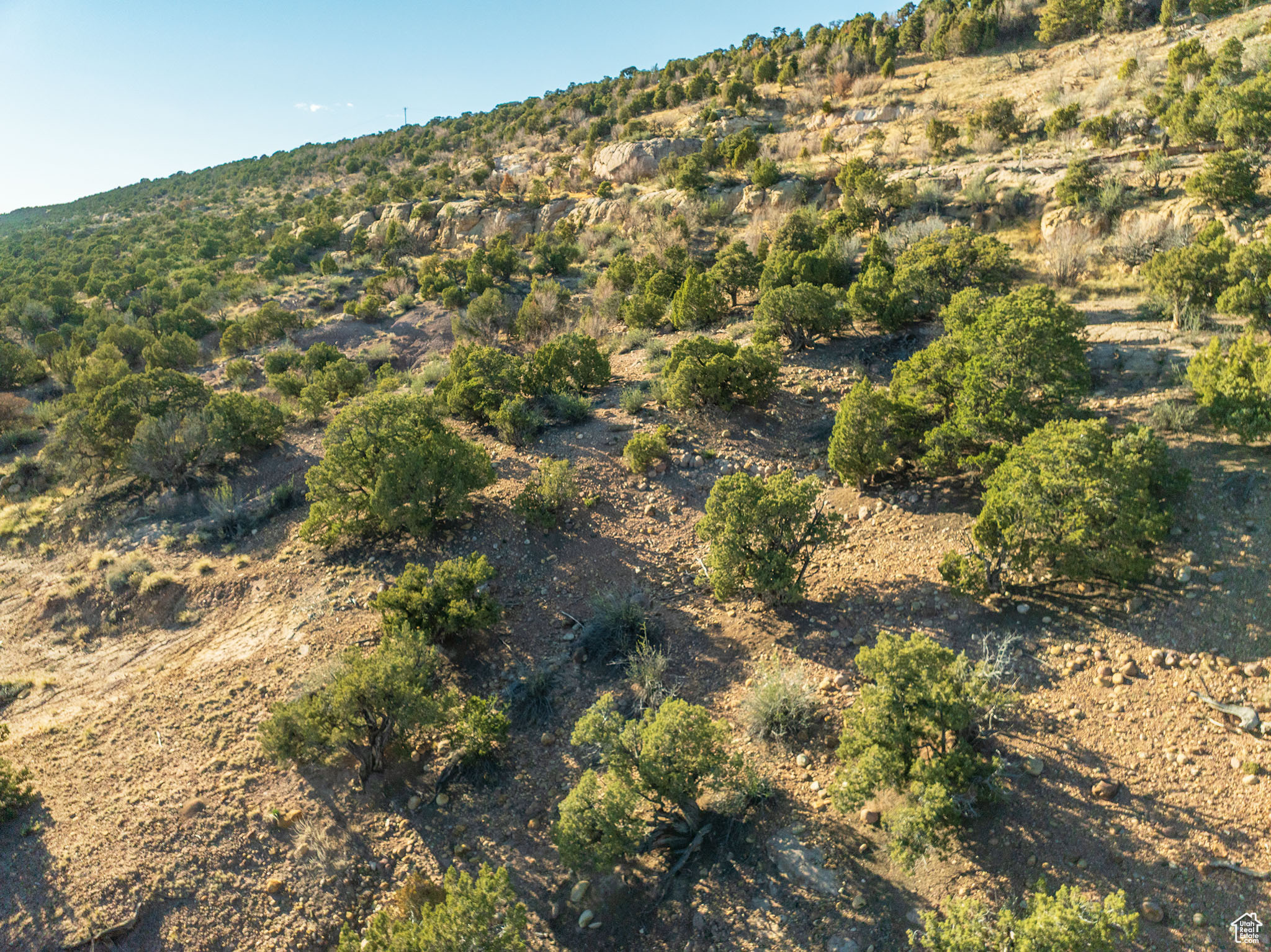 RANCHES AT CEDAR HOL - Land