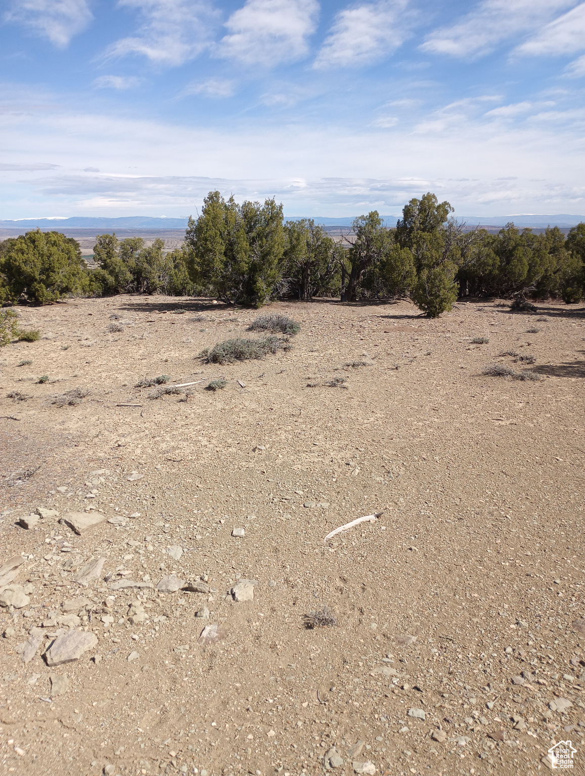 RANCHES AT CEDAR HOL - Land