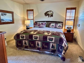 620 W Cisco Run, Garden City, Utah image 26