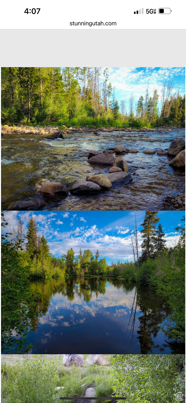 THE CABINS AT BEAR RIVER LODGE OWNERS ASSOCIATION - Land